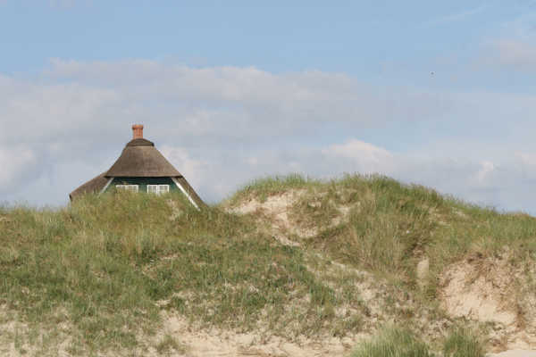 Sommerhus Fanø