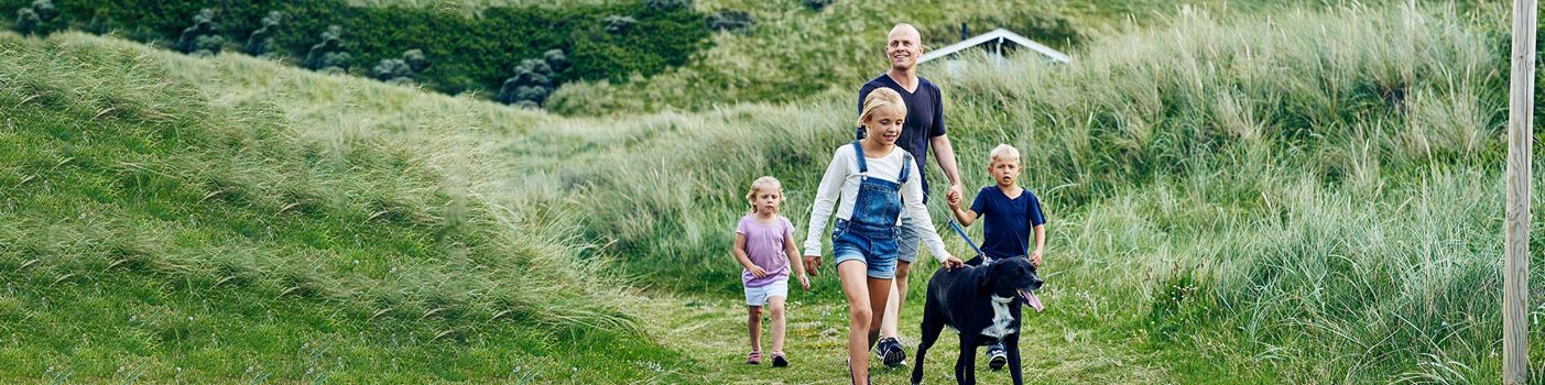 Familie Hund Klit Sommer